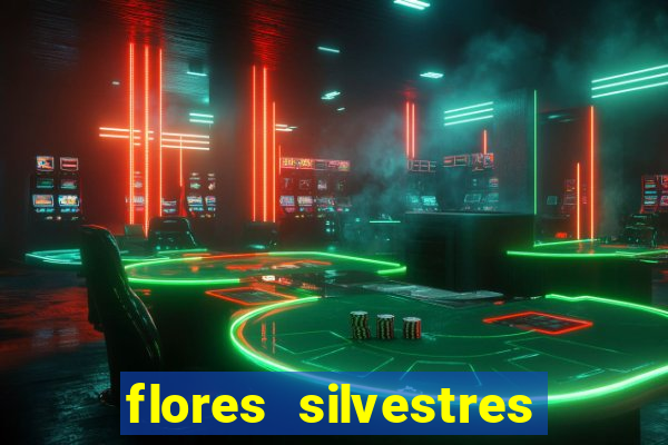 flores silvestres desbravadores desbravadores 25